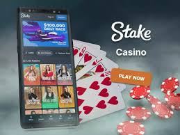 En İyi Casino Sitesi Stake.com