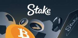 Stake.com Ödeme Yöntemleri